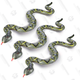 Inflatable Snakes 3 Pack | $10 | Amazon